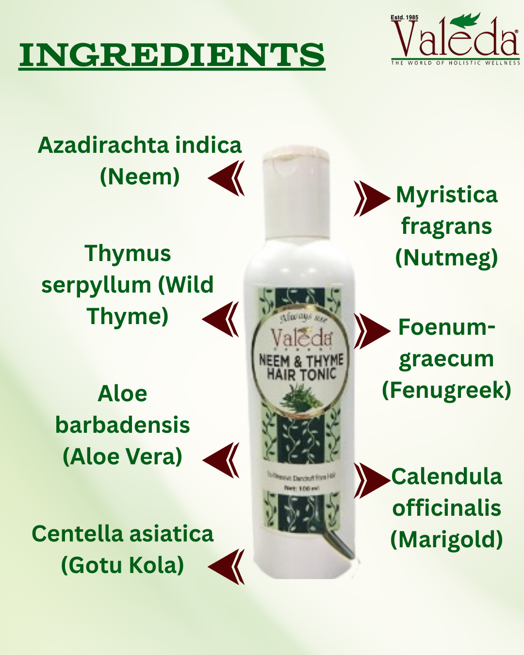 VALEDA HERBAL NEEM & THYME HAIR TONIC