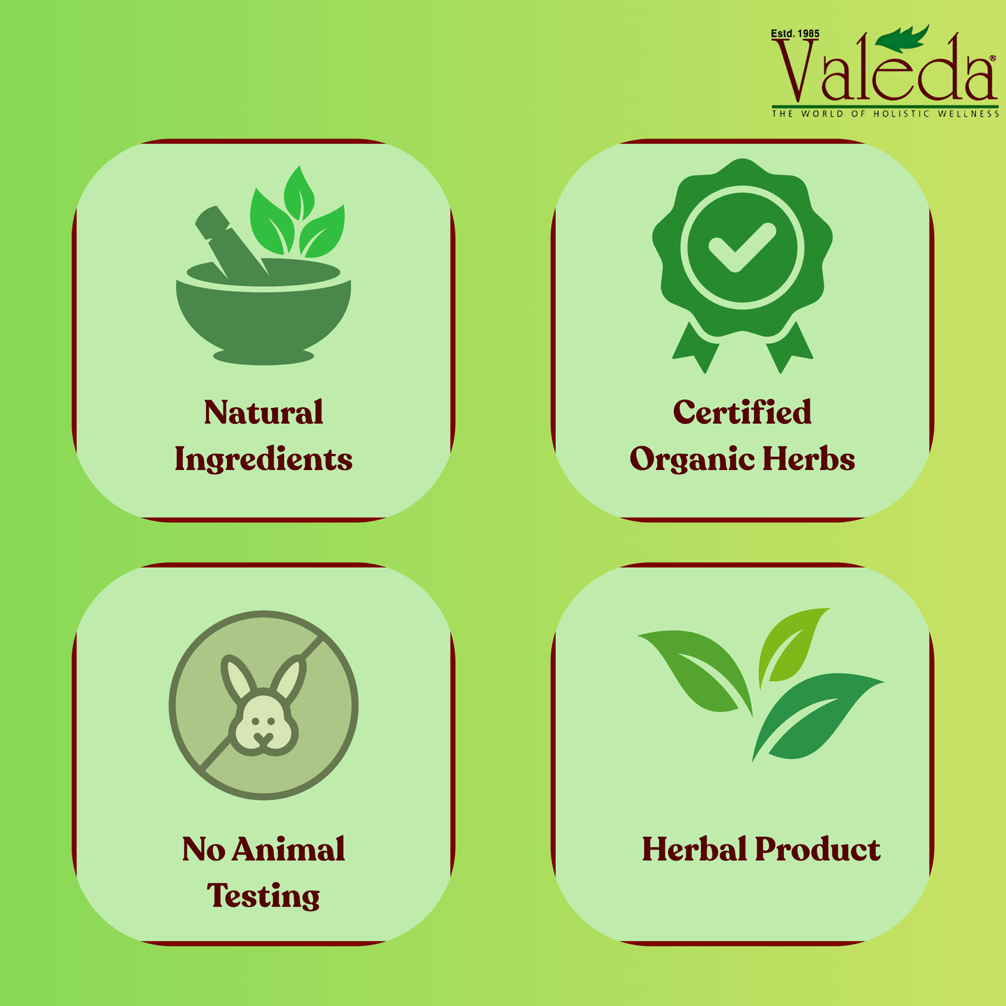 VALEDA HERBAL NEEM SKIN TONIC